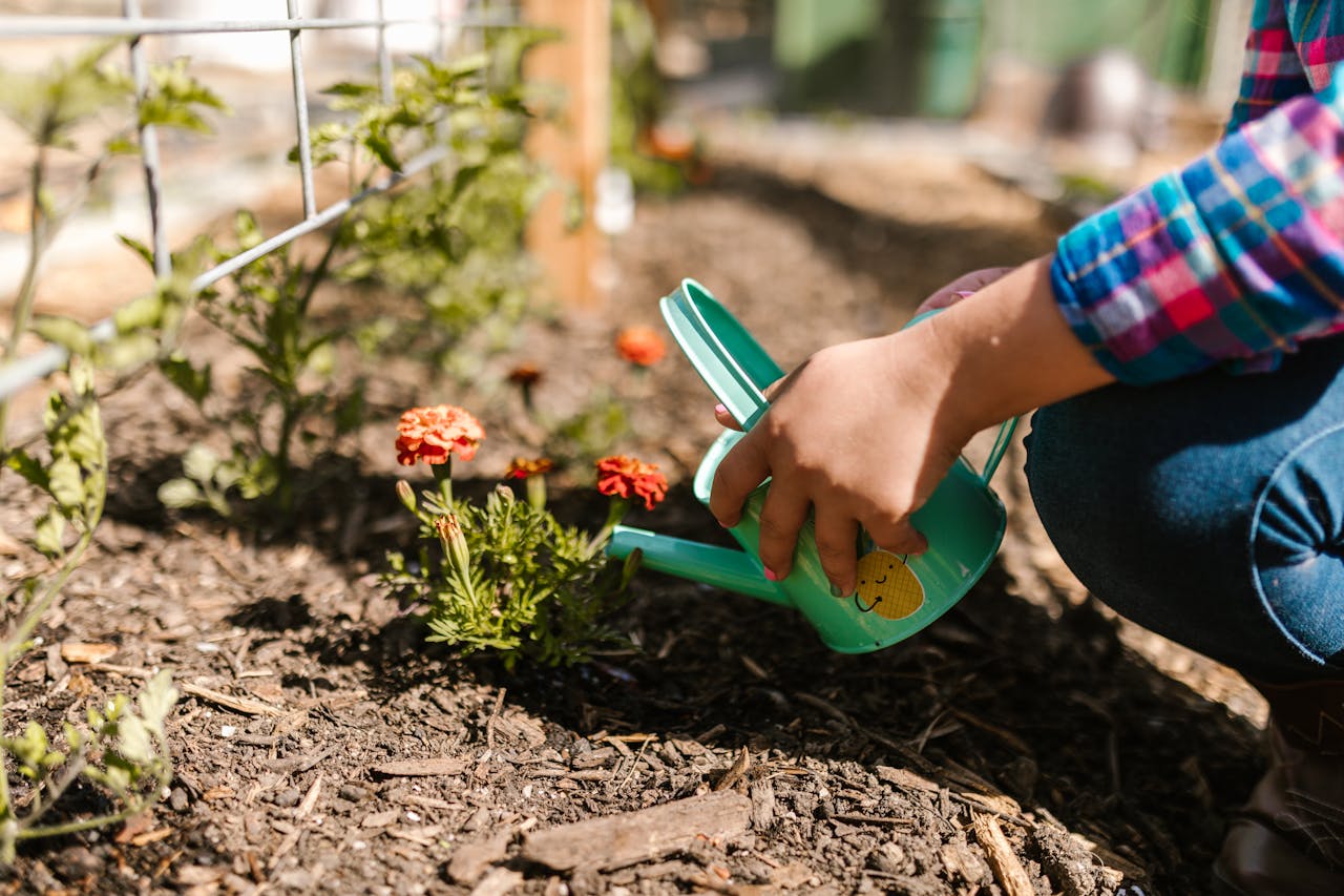 Garden soil